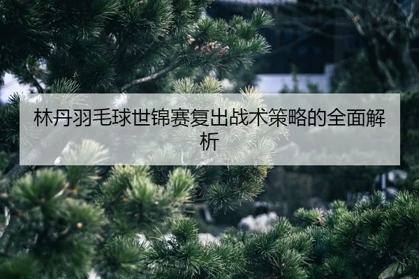 lin-dan-yu-mao-qiu-shi-jin-sai-fu-chu-zhan-shu-ce-lve-de-quan-mian-jie-xi-2-585.jpg